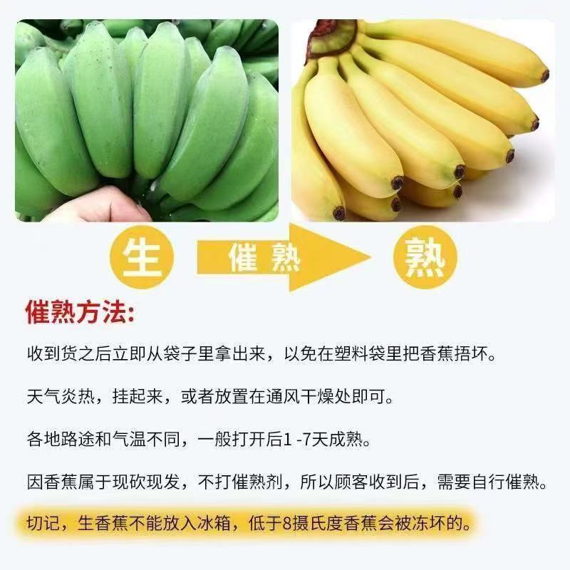【产地直发】正宗广西小米蕉当季新鲜水果小香蕉苹果蕉西贡蕉批