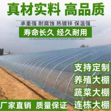 蔬菜温室大棚骨架椭圆管钢大棚养殖猪鸡抗压防雪镀锌钢管全套