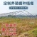 温室大棚养殖种植大棚全套钢管骨架支架椭圆管定制拱棚质量好