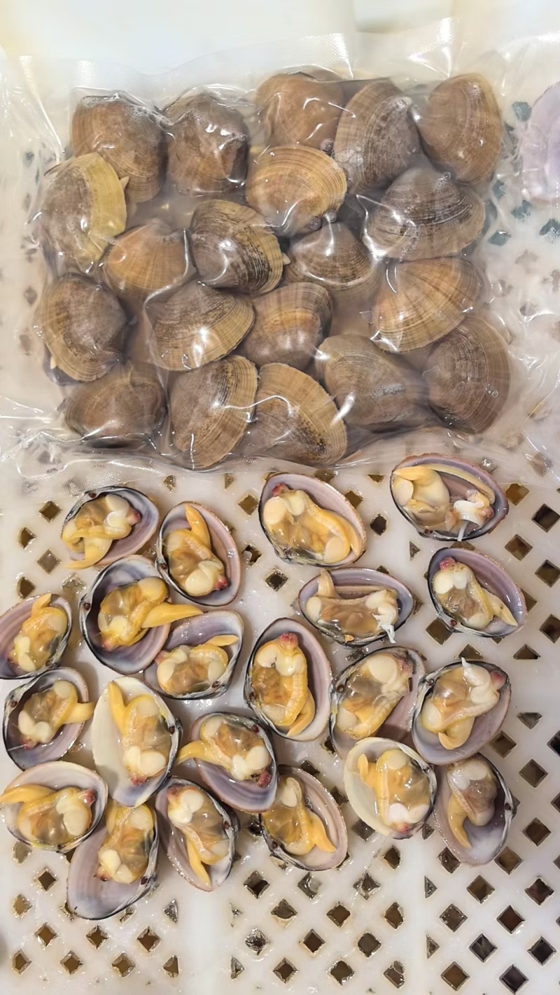 黄蚬子，东港无沙黄蚬子，黄蚬子，丹东黄蚬子