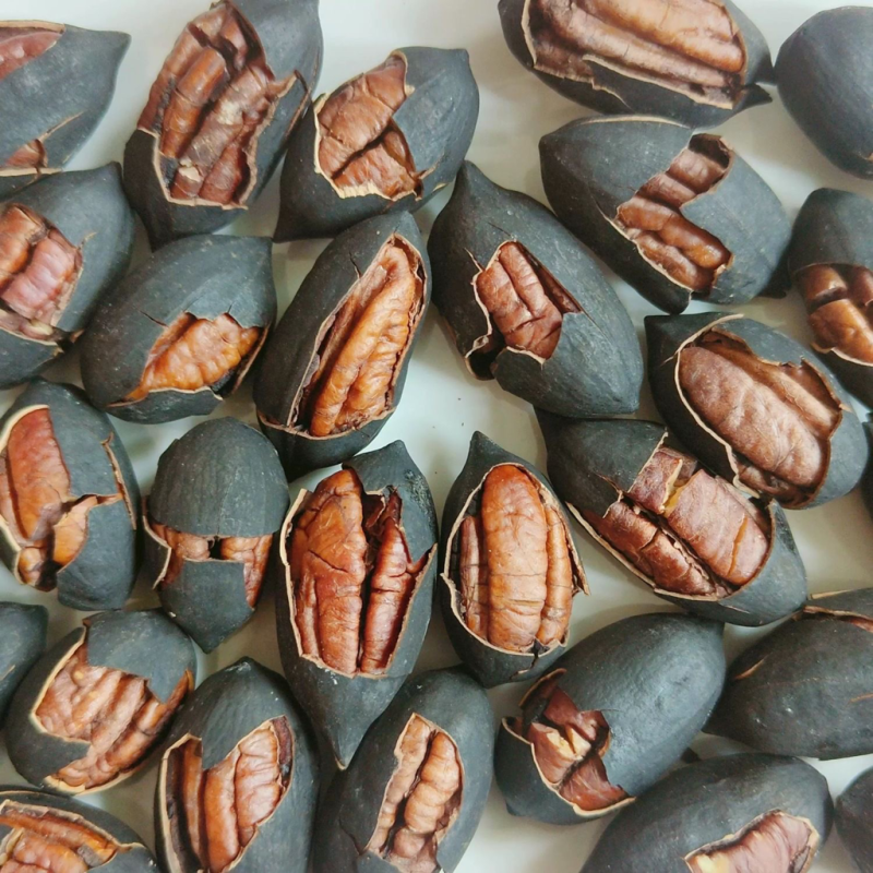 黑金碧根果电商好货抖音快手拼多多货