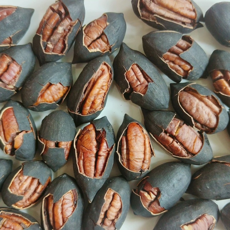 黑金碧根果电商好货抖音快手拼多多货