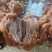 精品酱牛肉采用牛脖肉产地直发品质保证量大从优欢迎联系