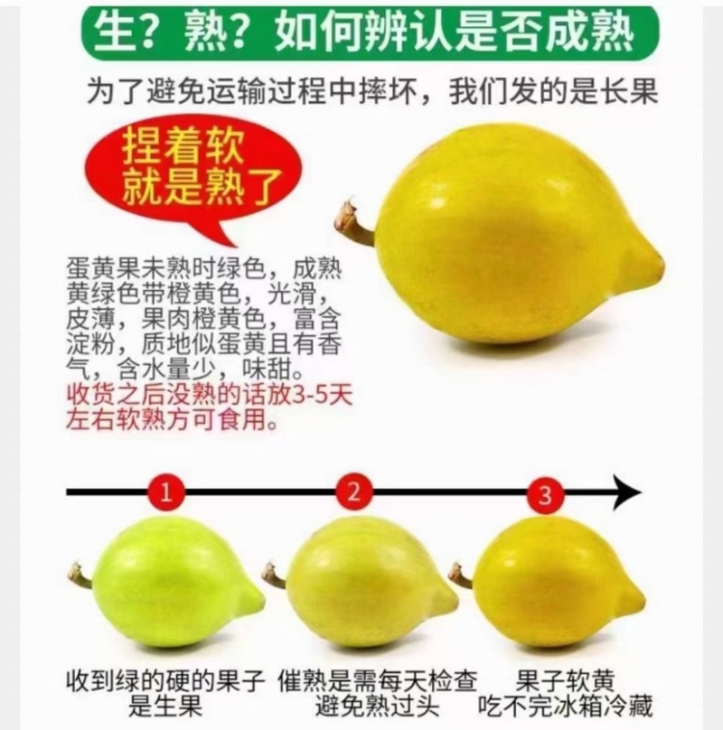蛋黄果基地一手代办供应全国批发市场社区团购空运落地配
