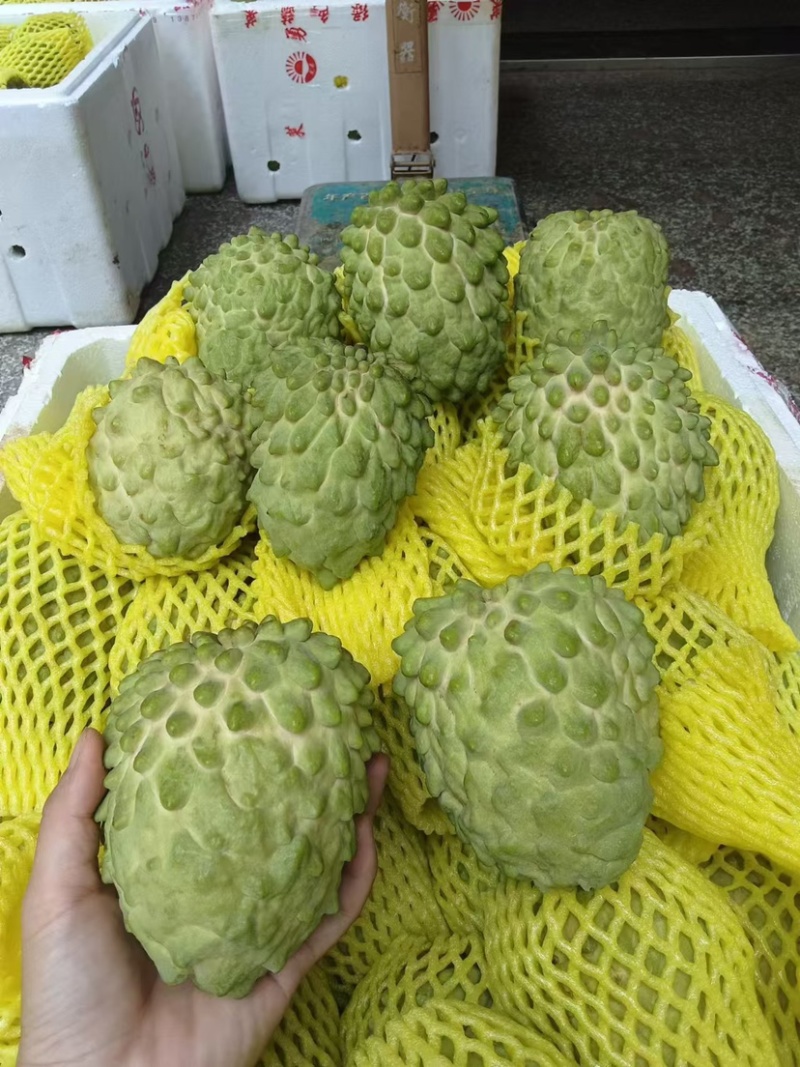 凤梨释迦品质口感好基地果一手代办供应全国批发市场社区团购