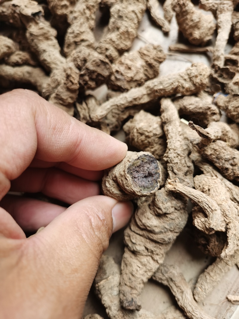 地黄河南熟地黄质量好价格低有需要的朋友联系