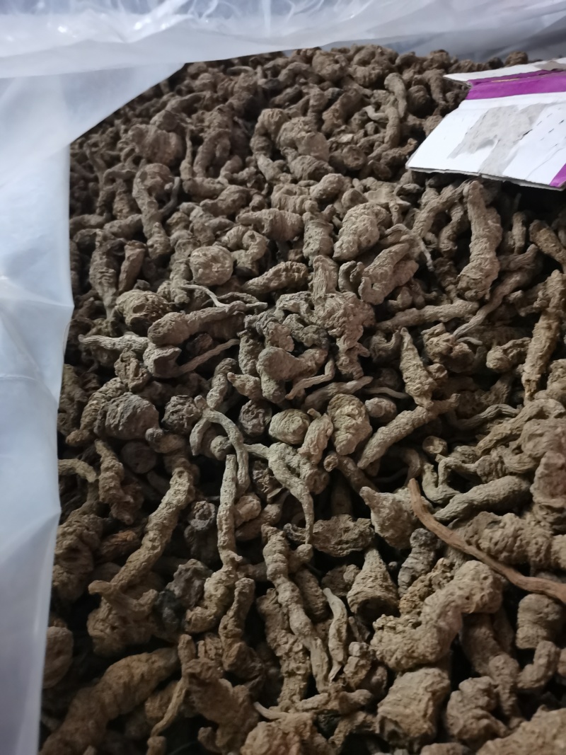 地黄河南熟地黄质量好价格低有需要的朋友联系
