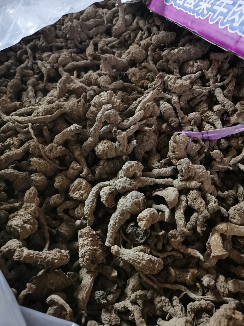 地黄河南熟地黄质量好价格低有需要的朋友联系