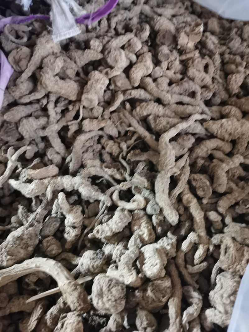 地黄河南熟地黄质量好价格低有需要的朋友联系