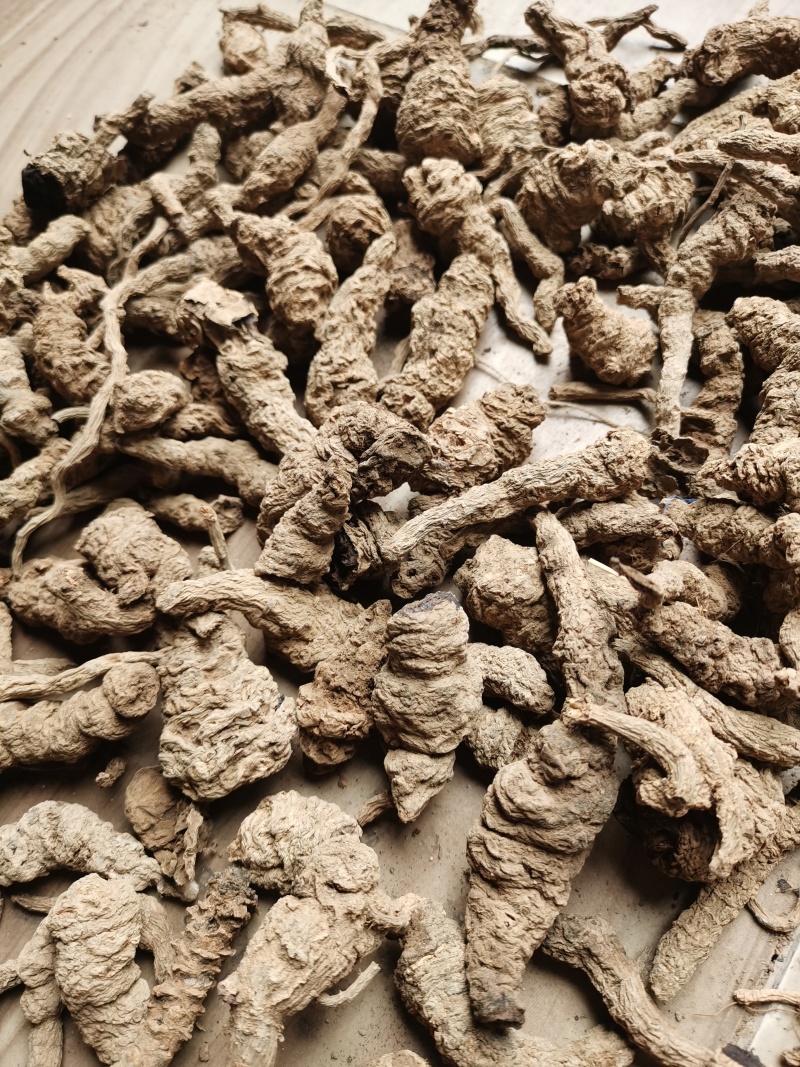 地黄河南熟地黄质量好价格低有需要的朋友联系