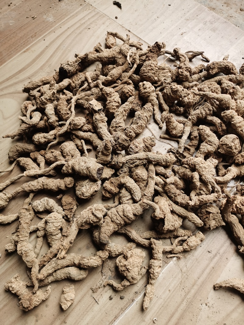 地黄河南熟地黄质量好价格低有需要的朋友联系