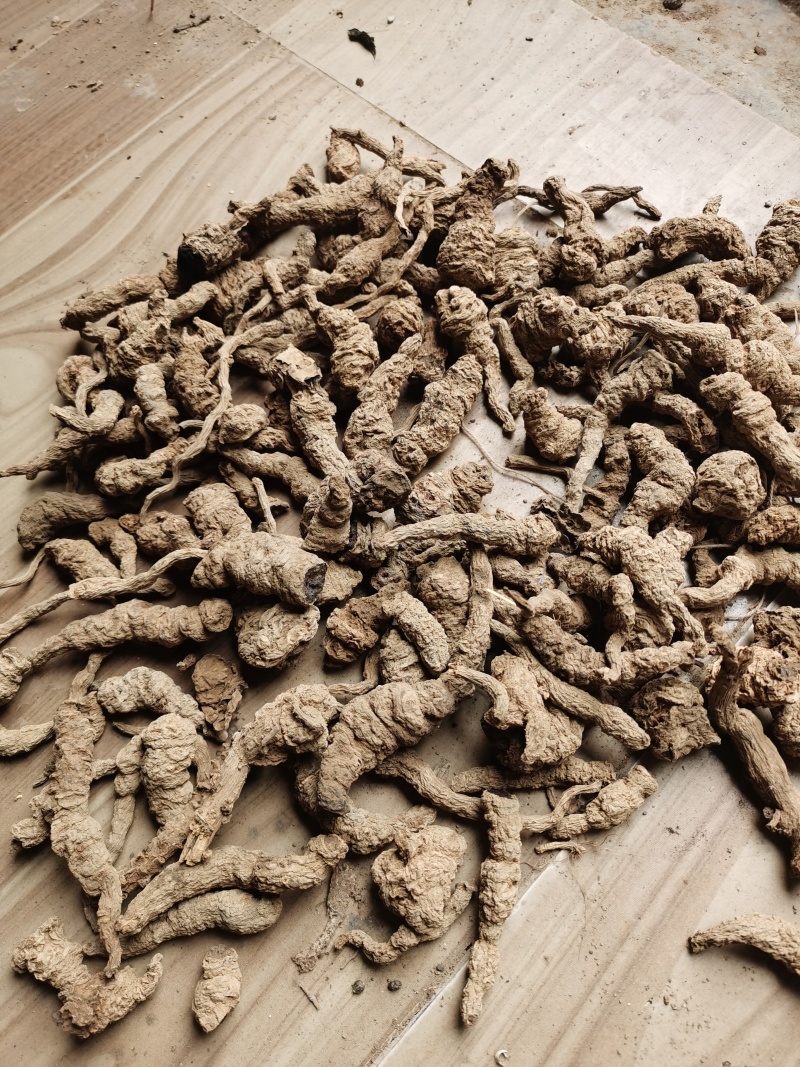 地黄河南熟地黄质量好价格低有需要的朋友联系