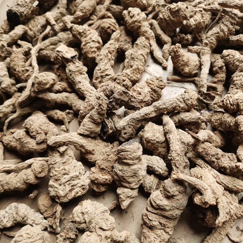 地黄河南熟地黄质量好价格低有需要的朋友联系