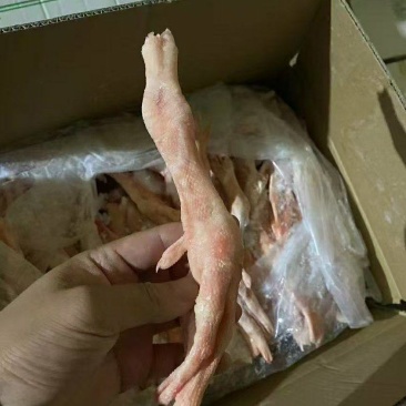 鹅三节掌