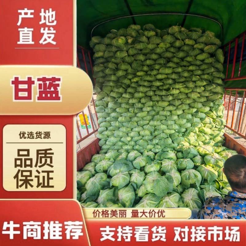 京丰/奥琪娜/各种扁包/产地直发/规格全！电联！