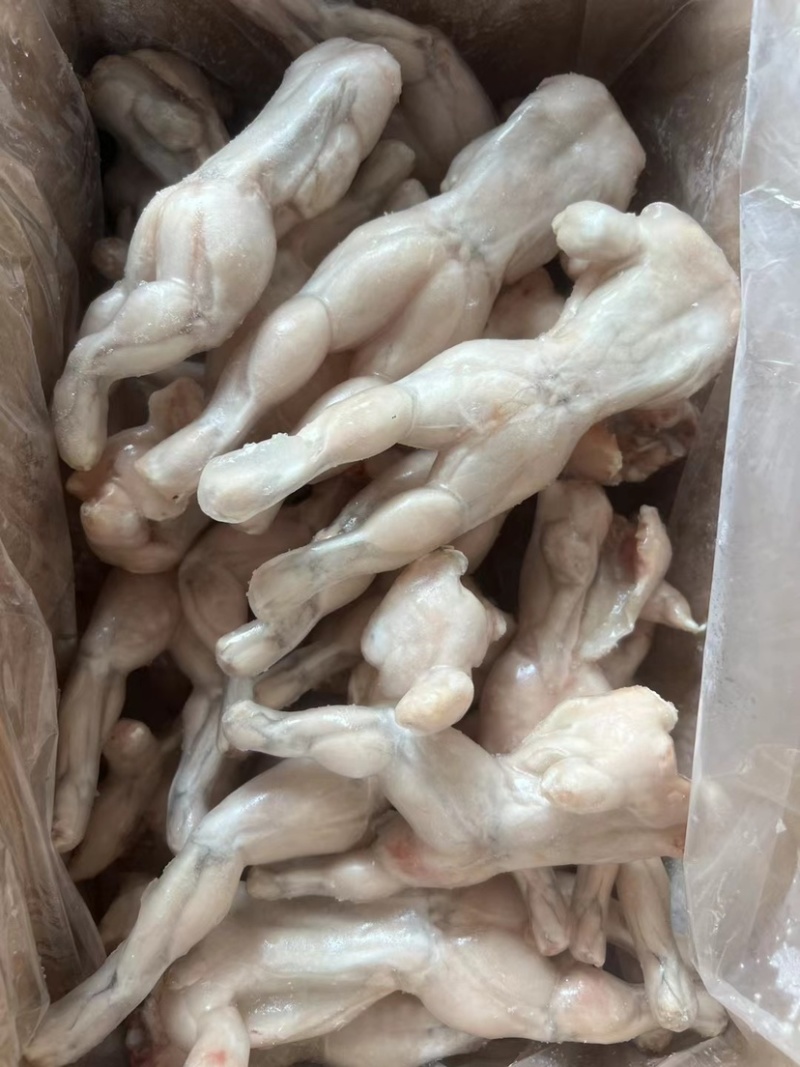 单冻牛蛙5KG装全规格牛蛙