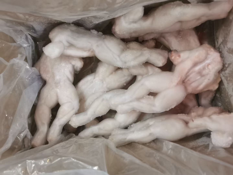 单冻牛蛙5KG装全规格牛蛙