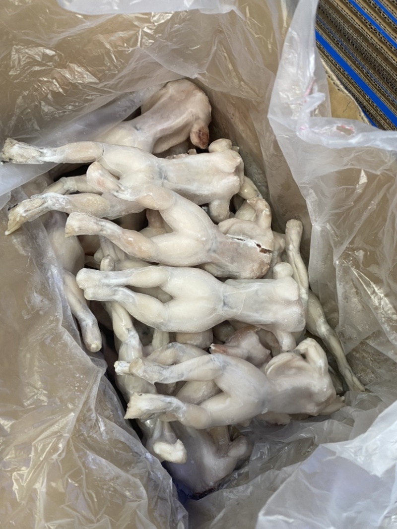 单冻牛蛙5KG装全规格牛蛙