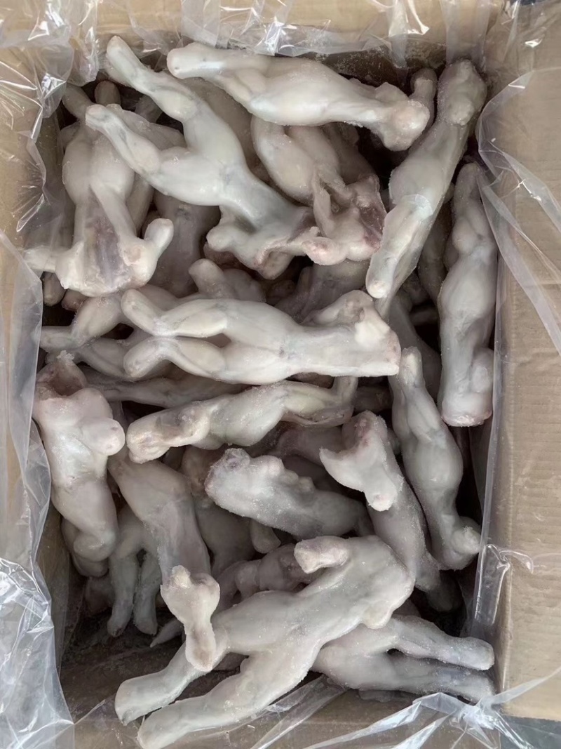单冻牛蛙5KG装全规格牛蛙