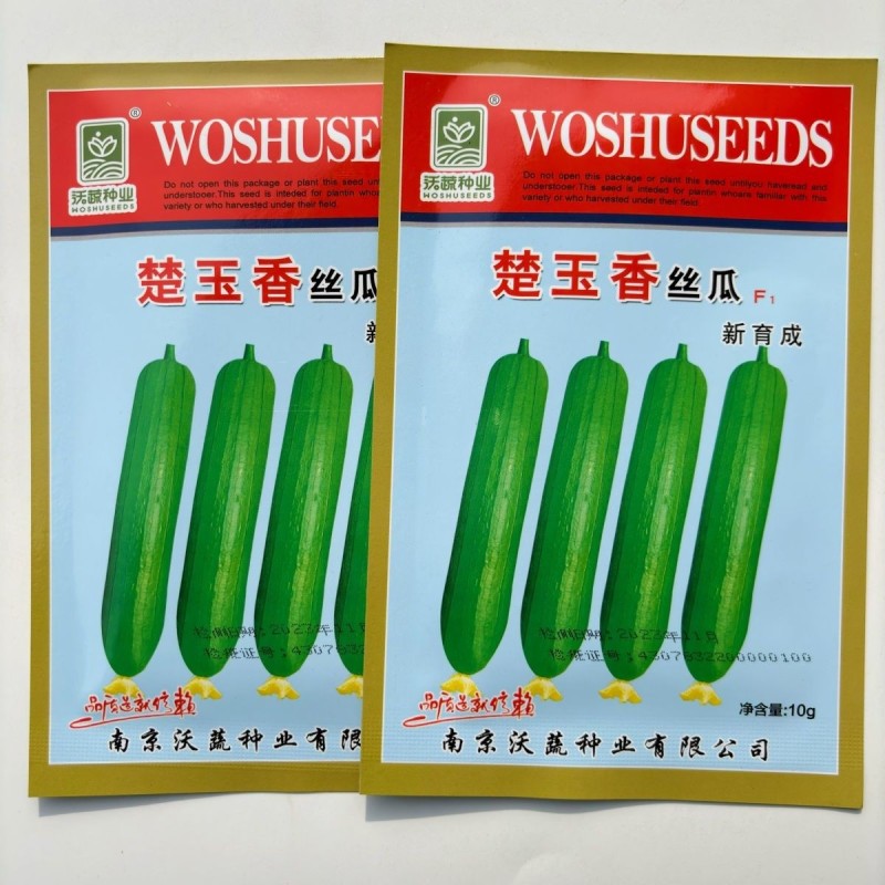 丝瓜种子楚玉香/楚玉香2号丝瓜种子早熟抗病肉厚香味浓香丝
