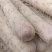白玉山药
