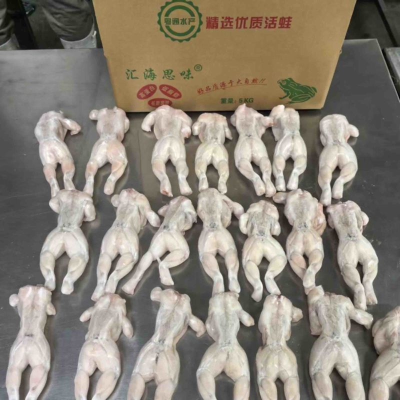 单冻牛蛙5KG装全规格牛蛙