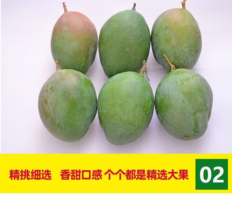 海南特大芒果三亚澳芒三亚芒果直发芒果当季新鲜水果
