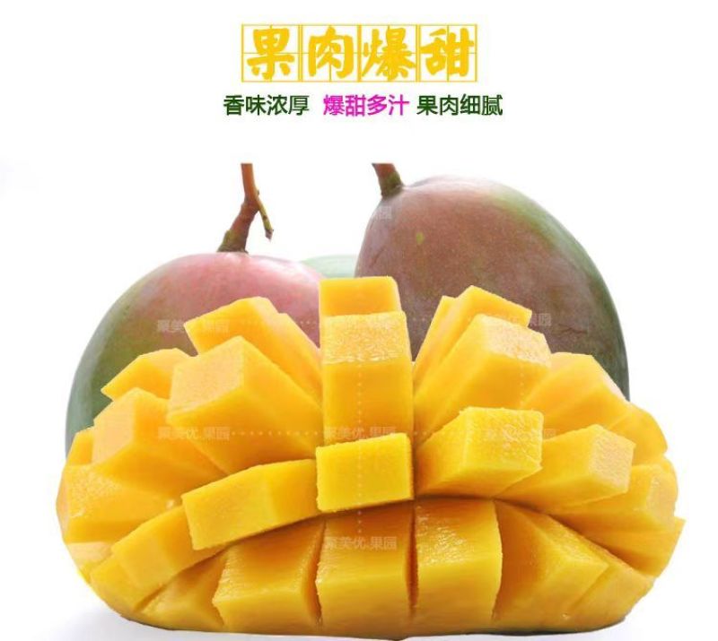 海南特大芒果三亚澳芒三亚芒果直发芒果当季新鲜水果