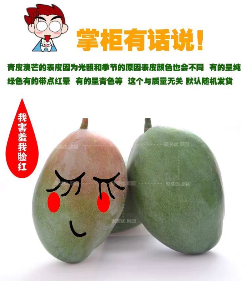 海南特大芒果三亚澳芒三亚芒果直发芒果当季新鲜水果