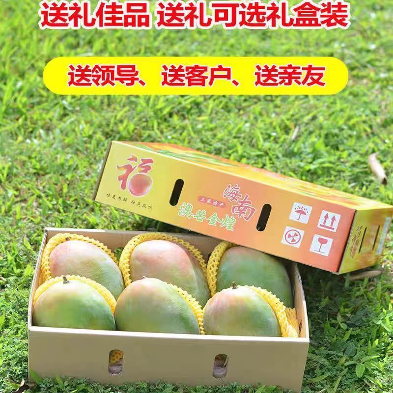 海南特大芒果三亚澳芒三亚芒果直发芒果当季新鲜水果
