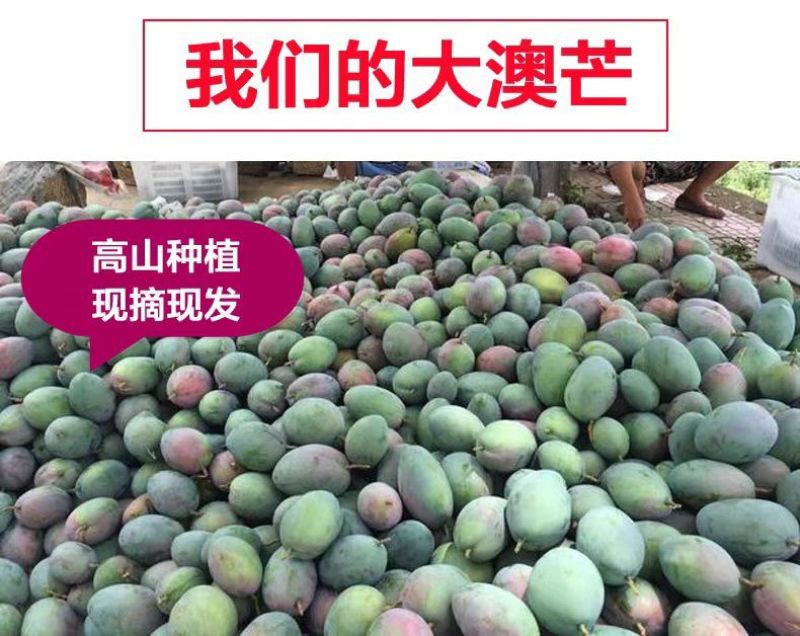 海南特大芒果三亚澳芒三亚芒果直发芒果当季新鲜水果