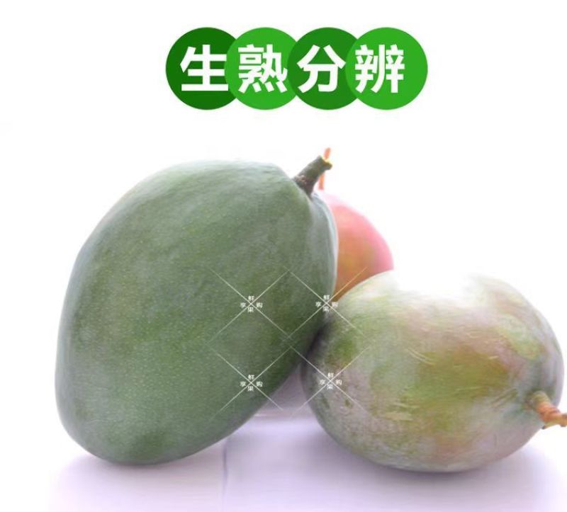 海南特大芒果三亚澳芒三亚芒果直发芒果当季新鲜水果