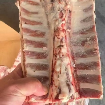 大羊羊蝎子