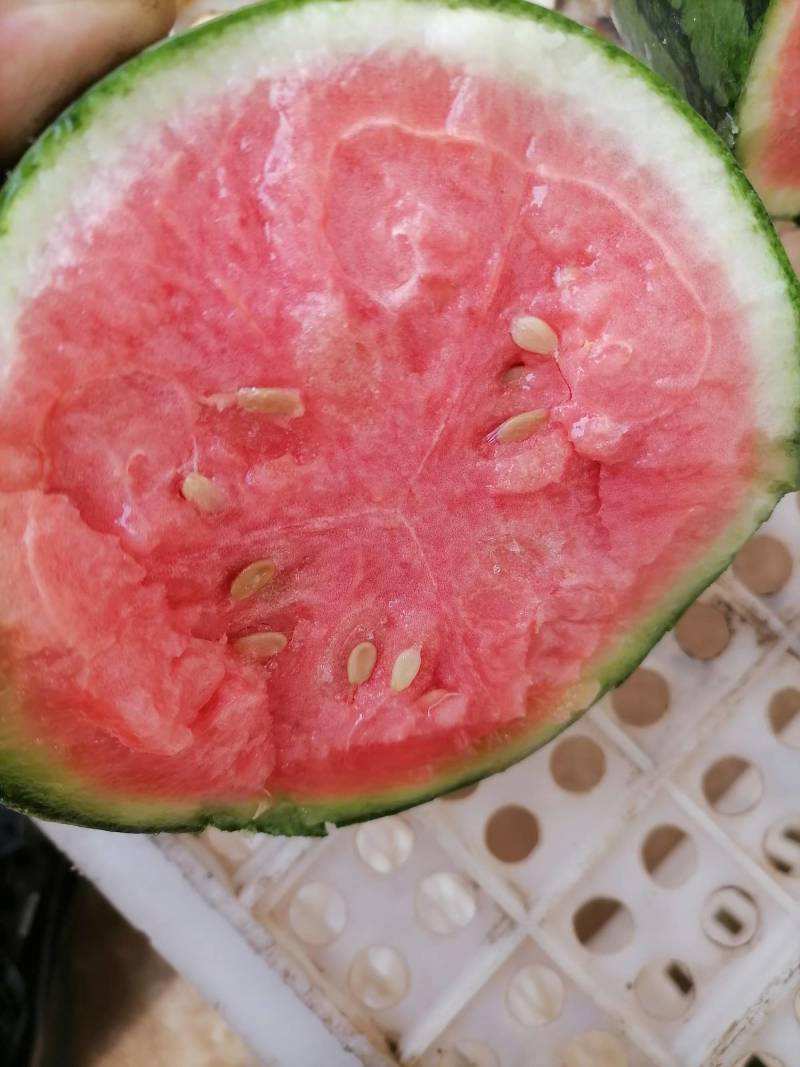 西瓜