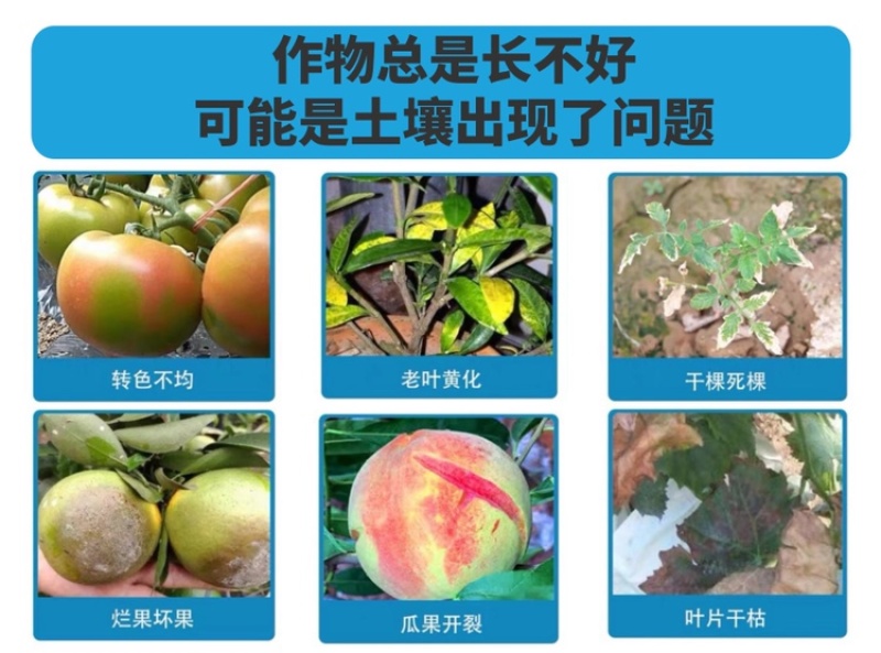 酶解鱼蛋白氨基酸水溶肥生根壮苗养根调理增产土壤冲施肥料