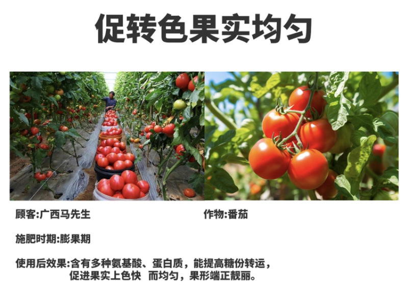 酶解鱼蛋白氨基酸水溶肥生根壮苗养根调理增产土壤冲施肥料