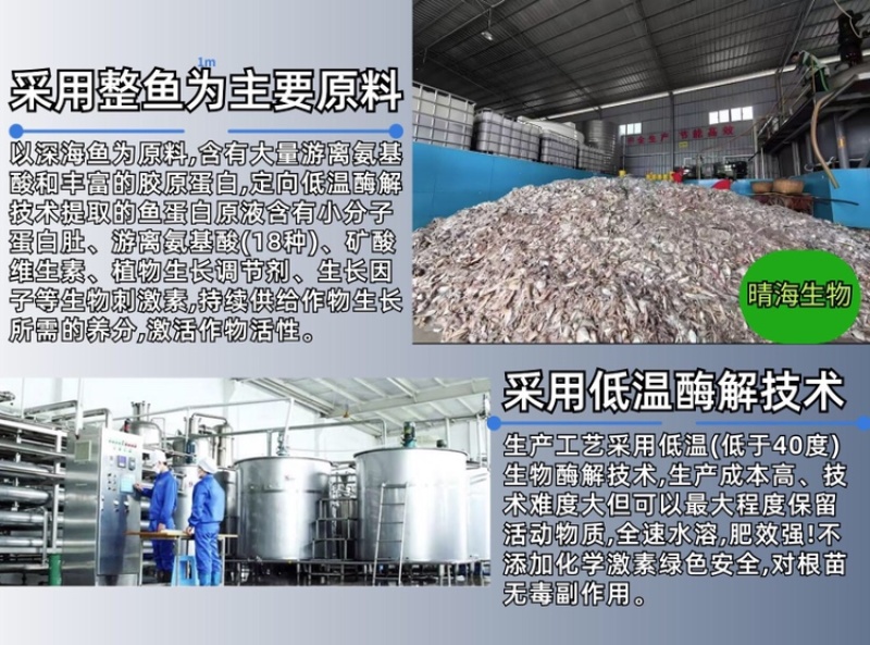 酶解鱼蛋白氨基酸水溶肥生根壮苗养根调理增产土壤冲施肥料