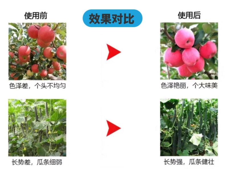酶解鱼蛋白氨基酸水溶肥生根壮苗养根调理增产土壤冲施肥料