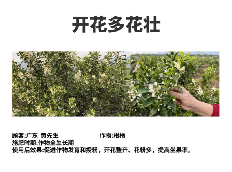 酶解鱼蛋白氨基酸水溶肥生根壮苗养根调理增产土壤冲施肥料