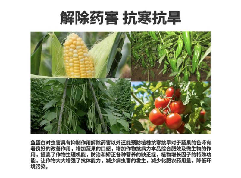 酶解鱼蛋白氨基酸水溶肥生根壮苗养根调理增产土壤冲施肥料
