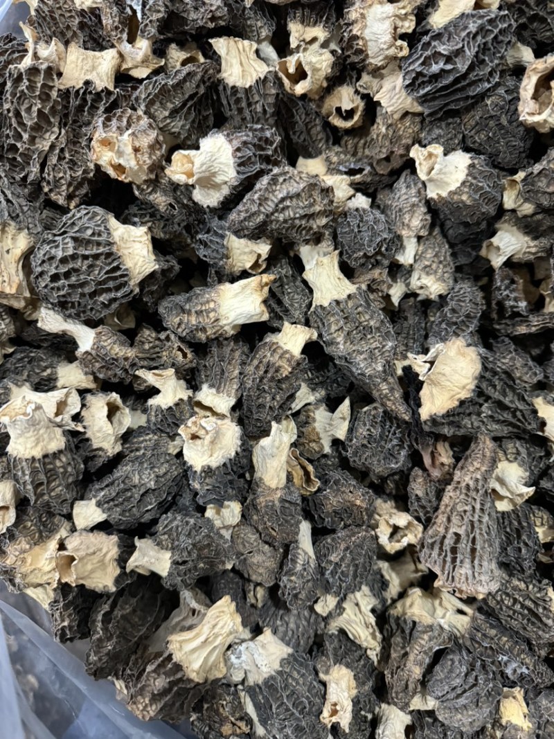 脚白小草莓羊肚菌