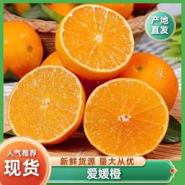 四川精品爱媛橙大量供应一手货源品质保证全国发货