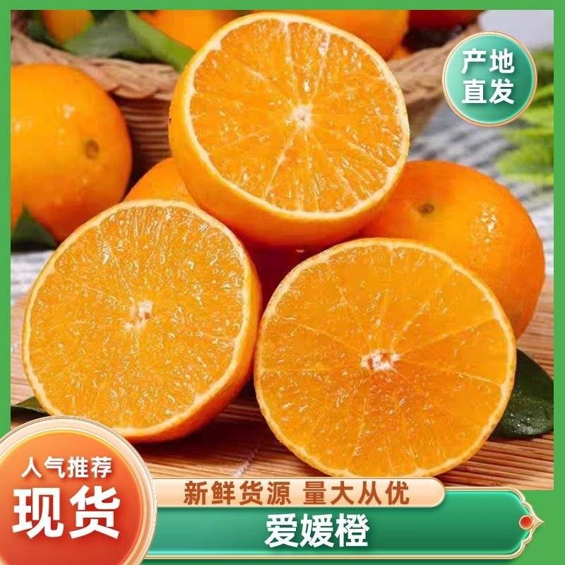 四川精品爱媛橙大量供应一手货源品质保证全国发货