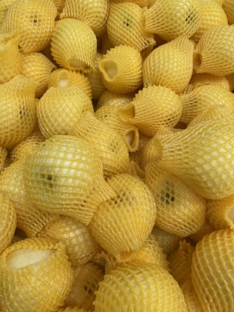 蓬莱奶油富士三级