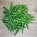 苏润樟树2号樟树港辣椒种子