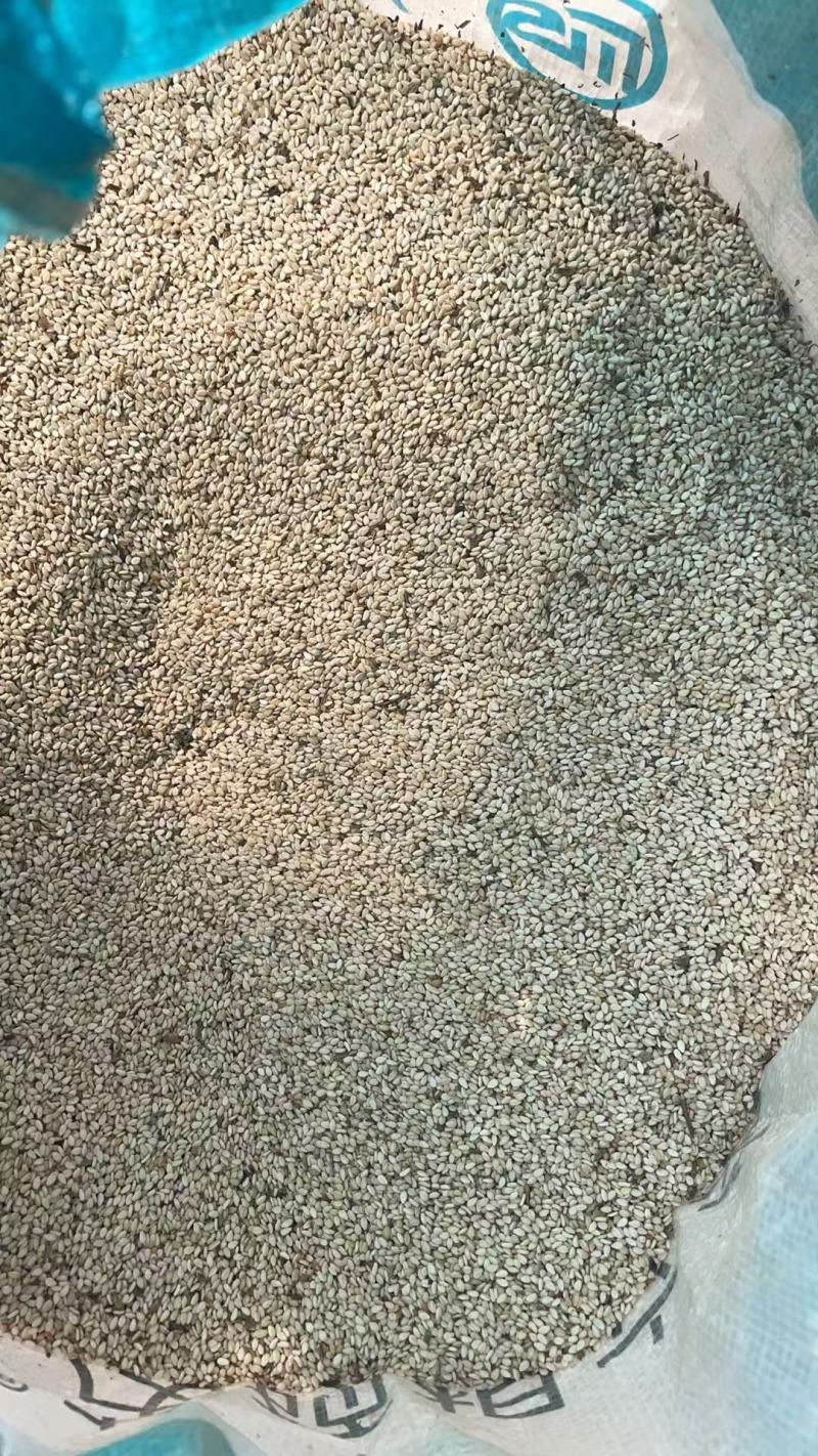 自己地里产的芝麻