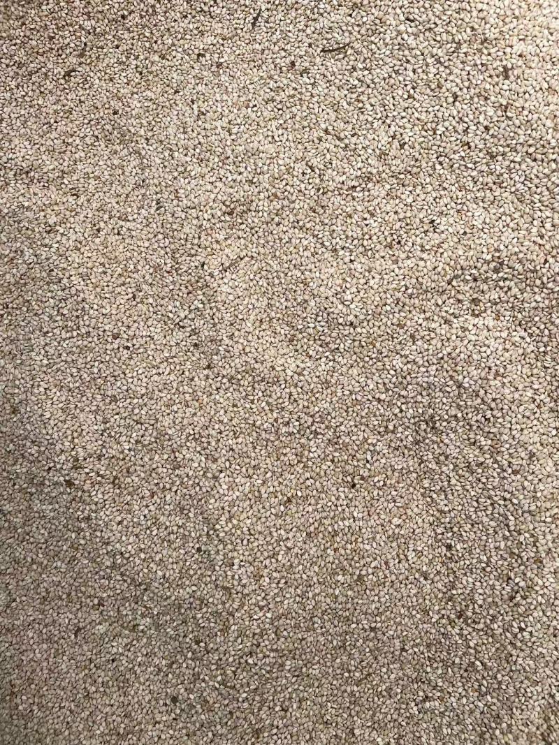 自己地里产的芝麻