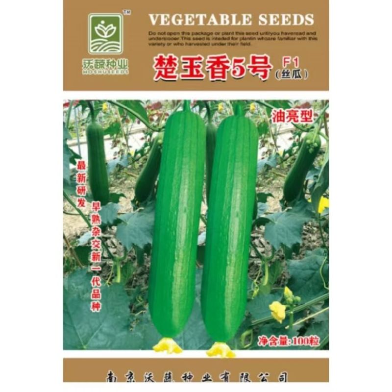 沃蔬楚玉香5号油亮型丝瓜种子高产早熟杂交新一代品种香味
