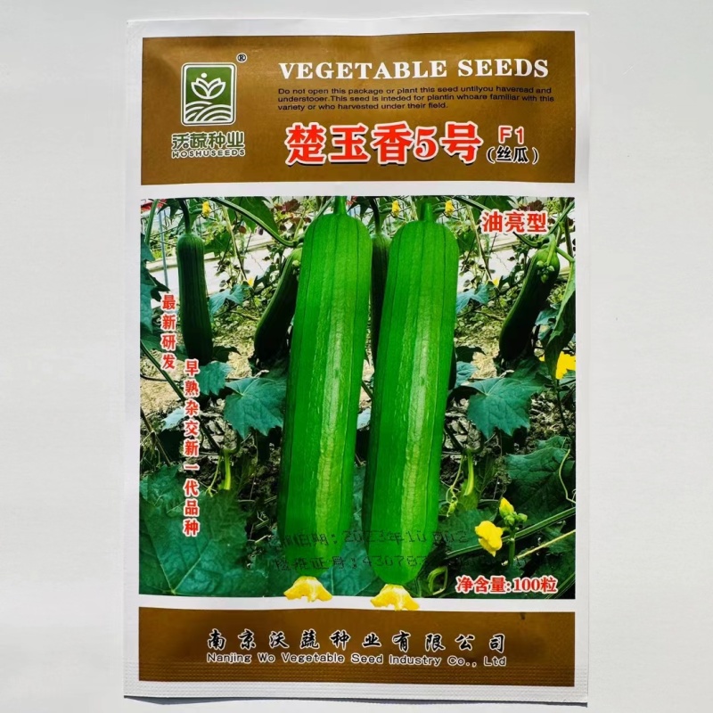 沃蔬楚玉香5号油亮型丝瓜种子高产早熟杂交新一代品种香味