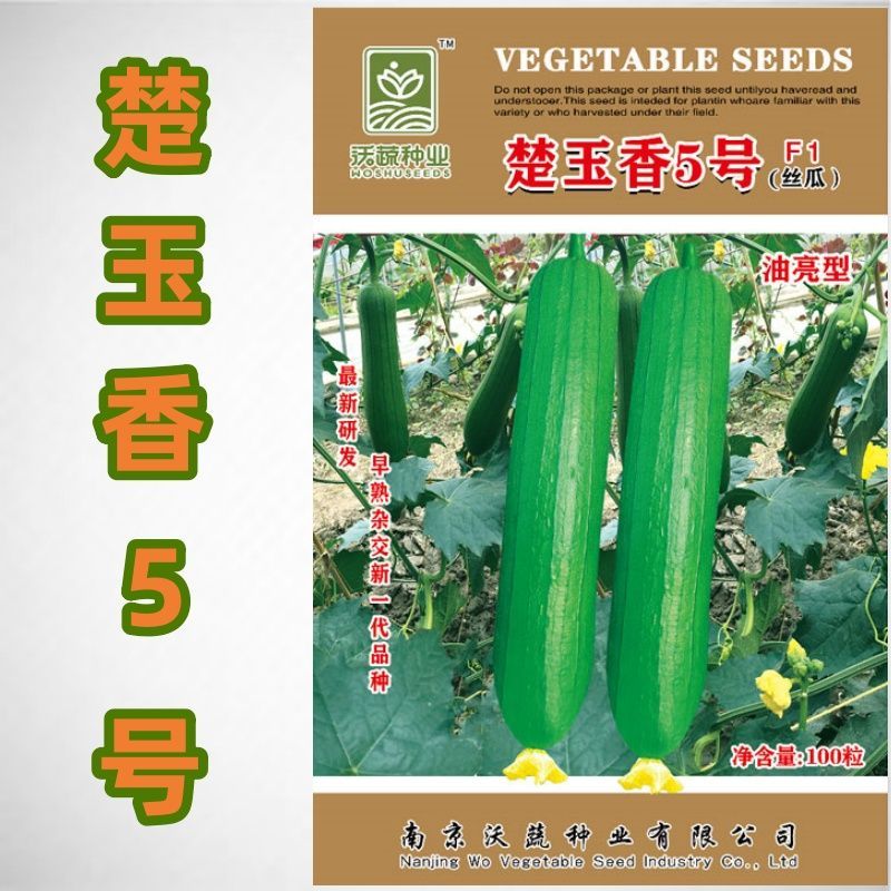 沃蔬楚玉香5号油亮型丝瓜种子高产早熟杂交新一代品种香味